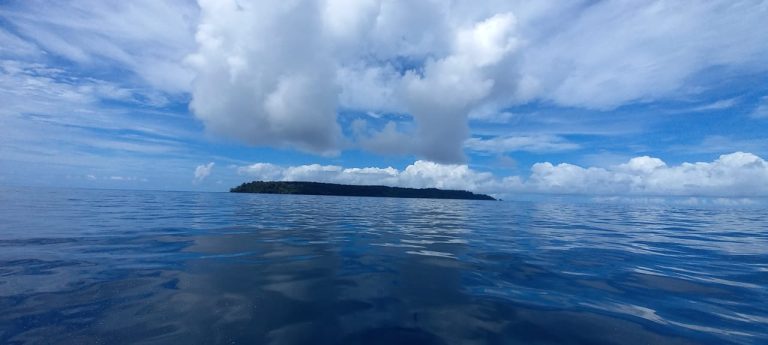 Read more about the article Caño Island